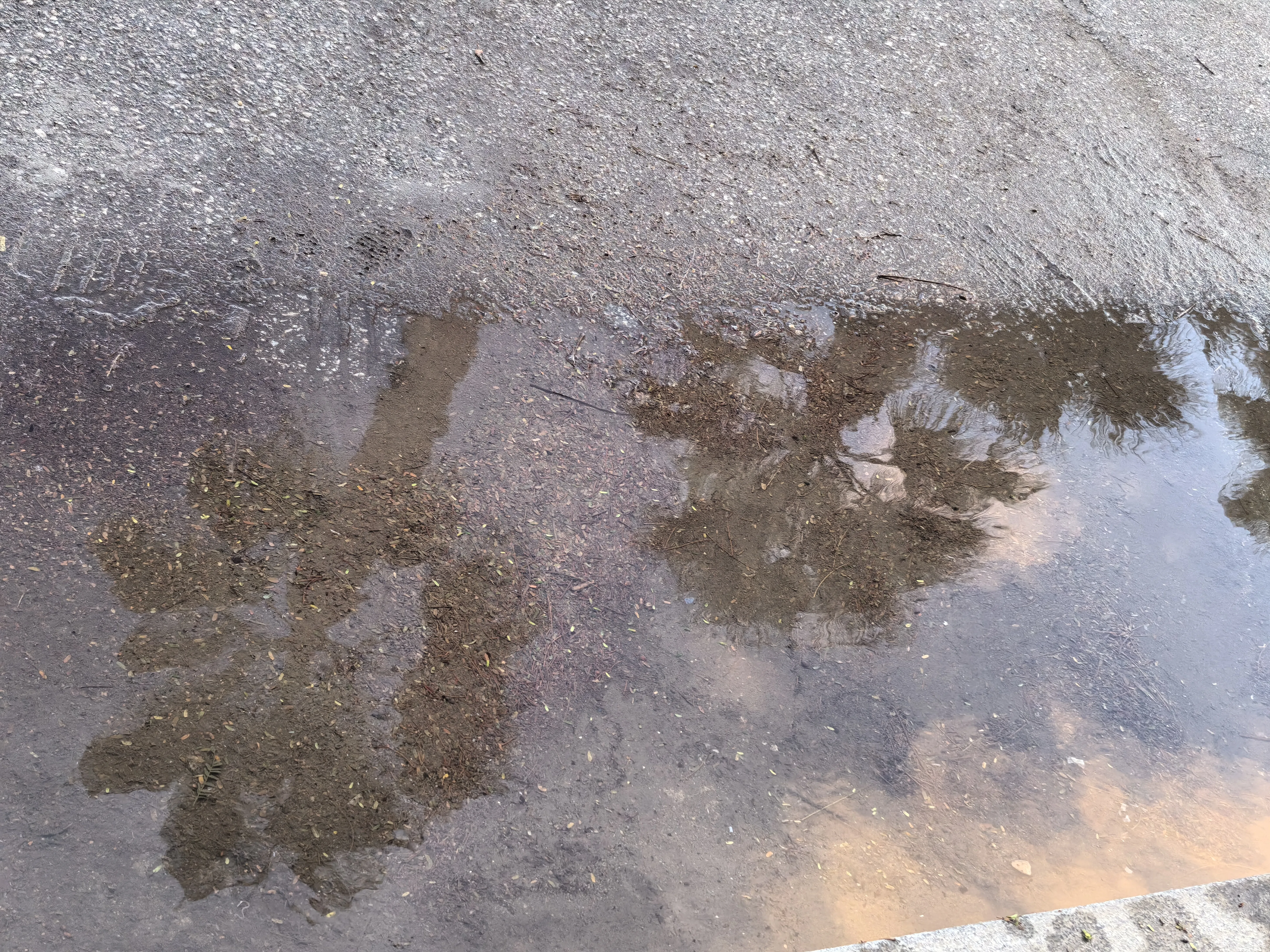 HUAWEI Pura 70 Ultra - System Aparatów - IMG_20251117_175158.webp